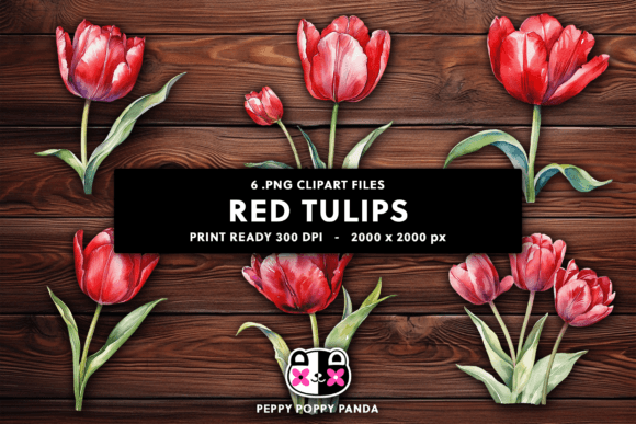Red Tulips Clipart: Design Assets for Vibrant Projects